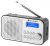 Radio portabil GoGEN DAB 300N cu tuner DAB+ si FM, 1 W, LCD , baterie 2000 mAh
